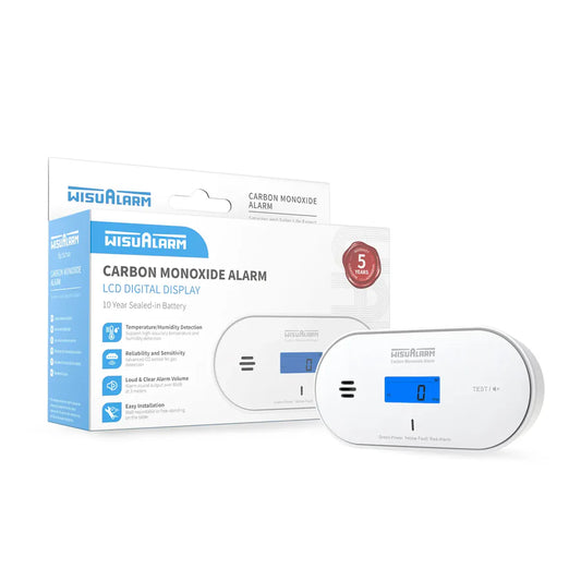 Standalone Carbon Monoxide Alarm