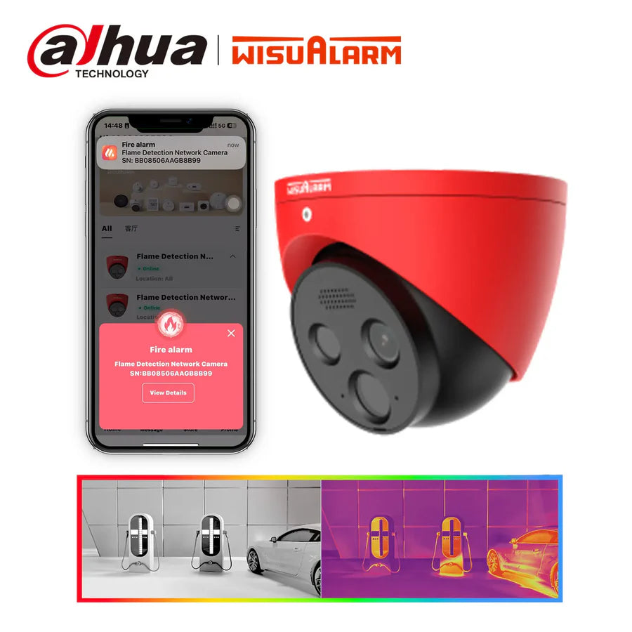 Flame Detection Eyeball Network Camera