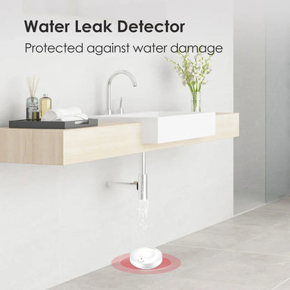 Wireless Water Leak Detector